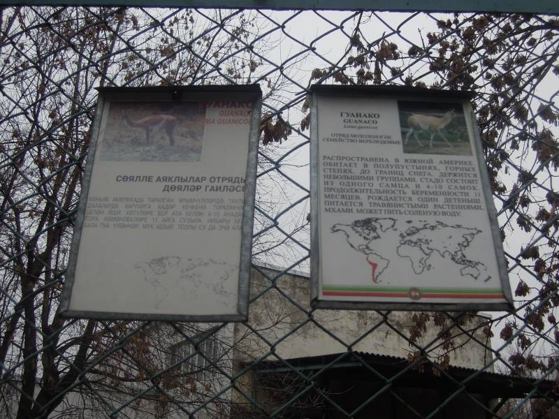 DSCN4936.JPG
