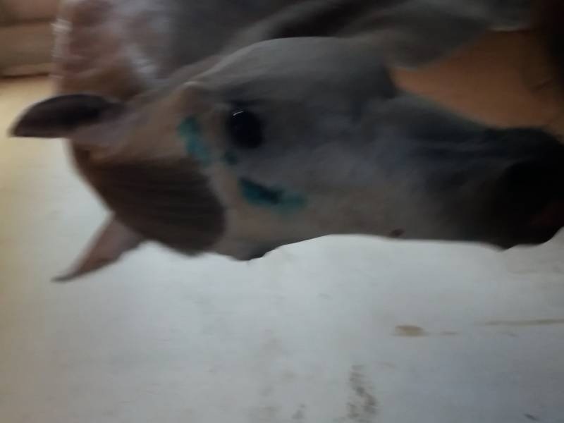 20170626_103252
