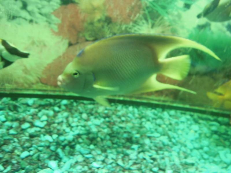 DSCN9952.JPG