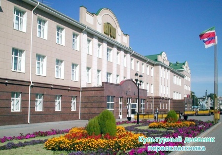 Нефтяной институт сейчас