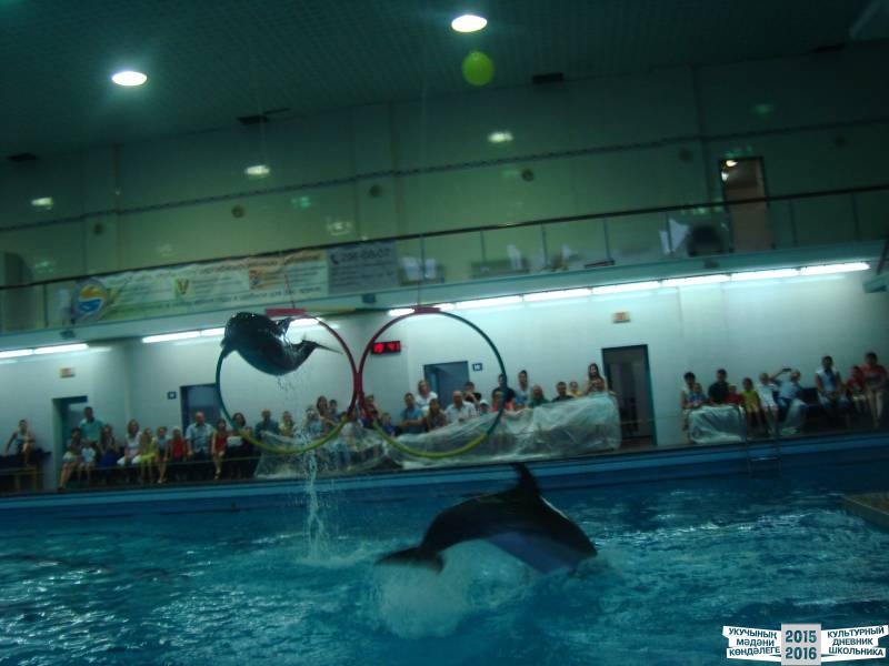 Мои летние путешествия!39639