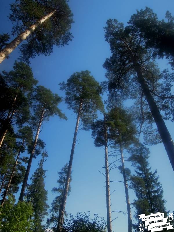 DSCN1678.JPG