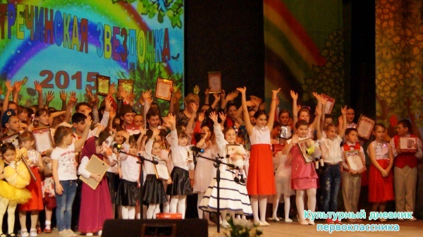 Пестречинская звездочка24373