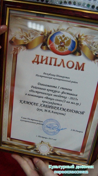 Пестречинская звездочка24144