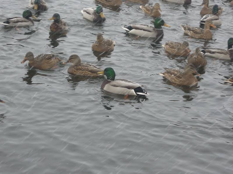 DSCN5276.JPG