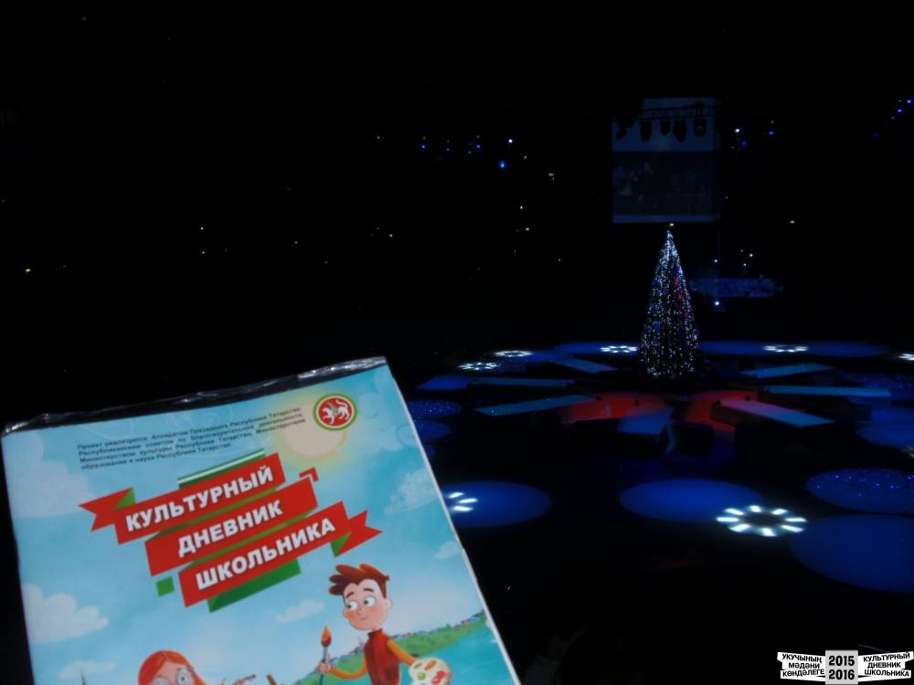 Я на Президентской елке 25.12.2016 г.52421