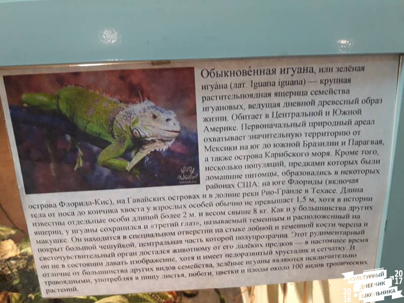 Выставка зоопарк "Живые тропики"60568
