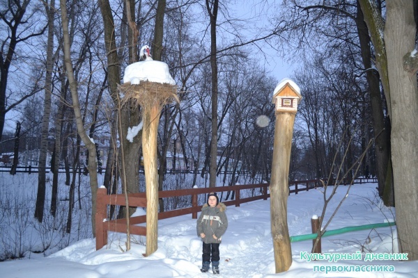 Экскурсия по Елабуге с культурным дневником22027