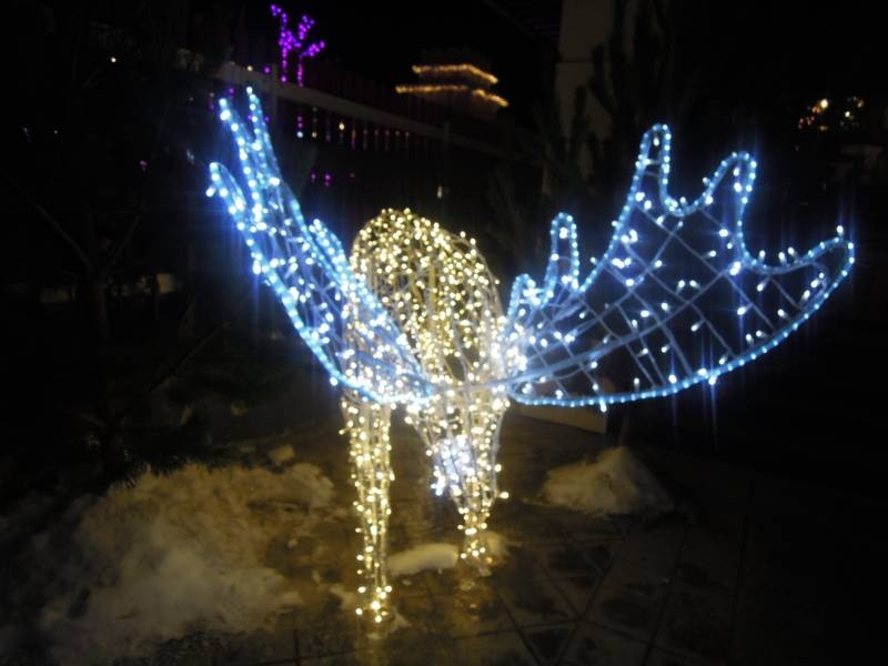 DSCN6767.JPG