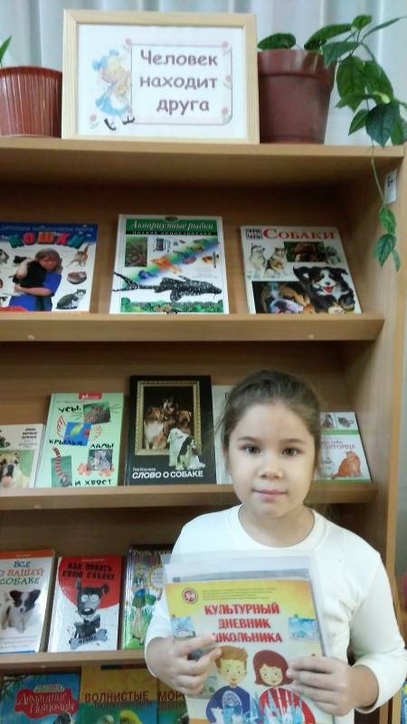 IMG_20171110_164301