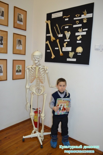 В Музее уездной медицины имени В.М. Бехтерева22008