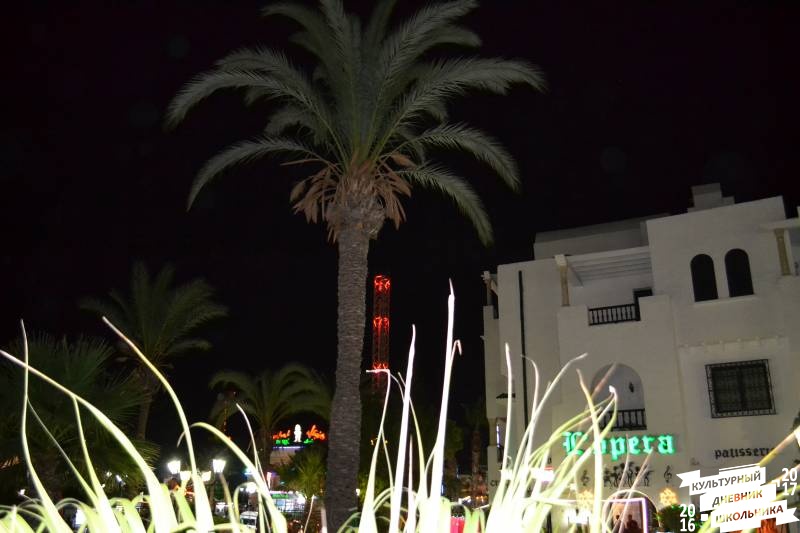 DSC_0443.JPG