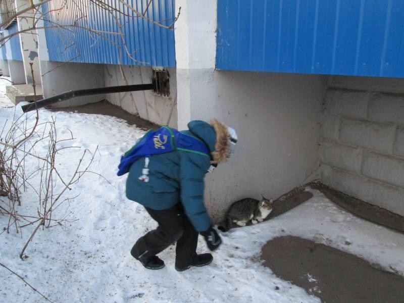 Кормушка для птиц128673