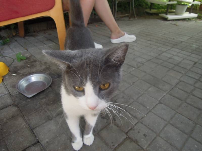 DSCN0588.JPG