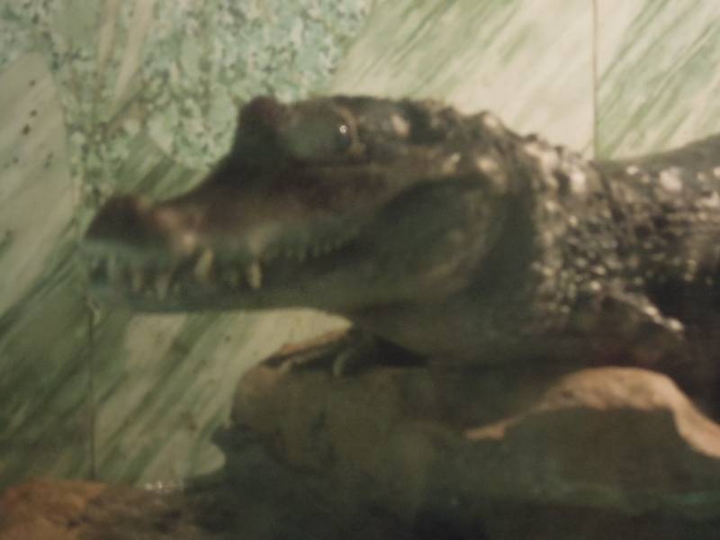 DSCN4830.JPG