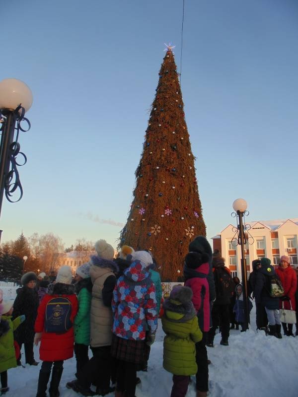 Открытие городской елки129300