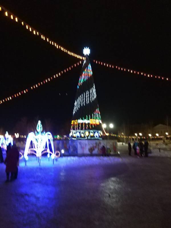 Мои новогодние каникулы133981