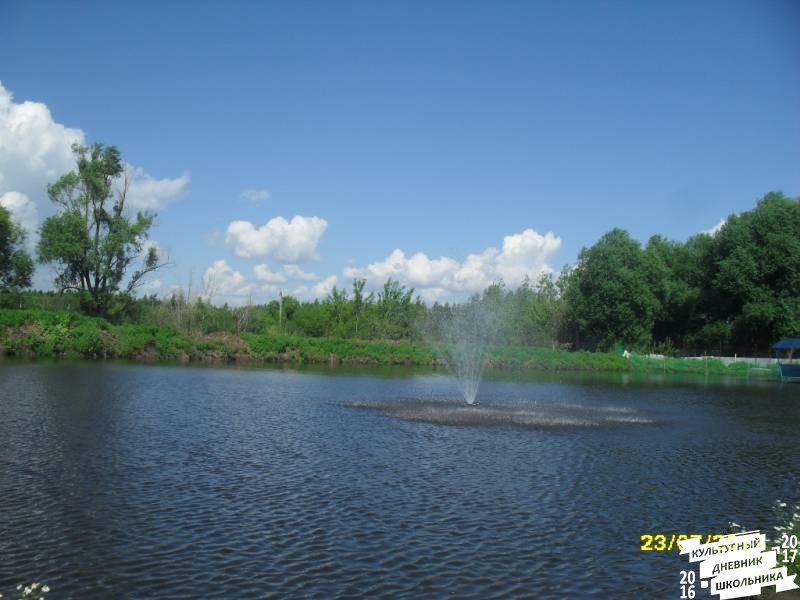 люблю лето82521