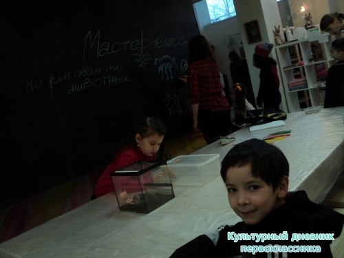 DSC07780.JPG