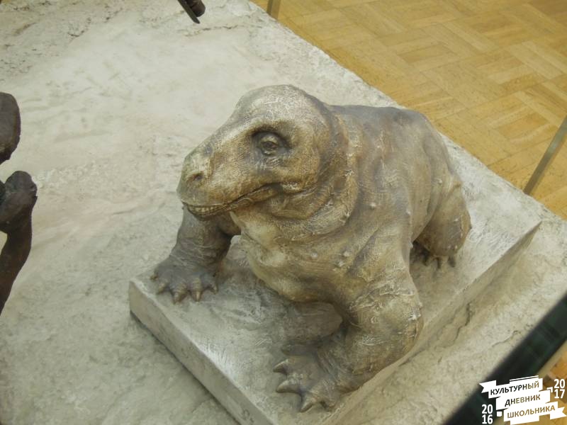 DSCN8548.JPG
