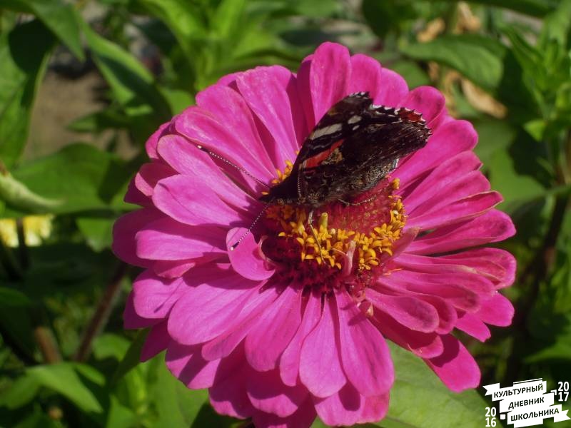 DSCN1511.JPG