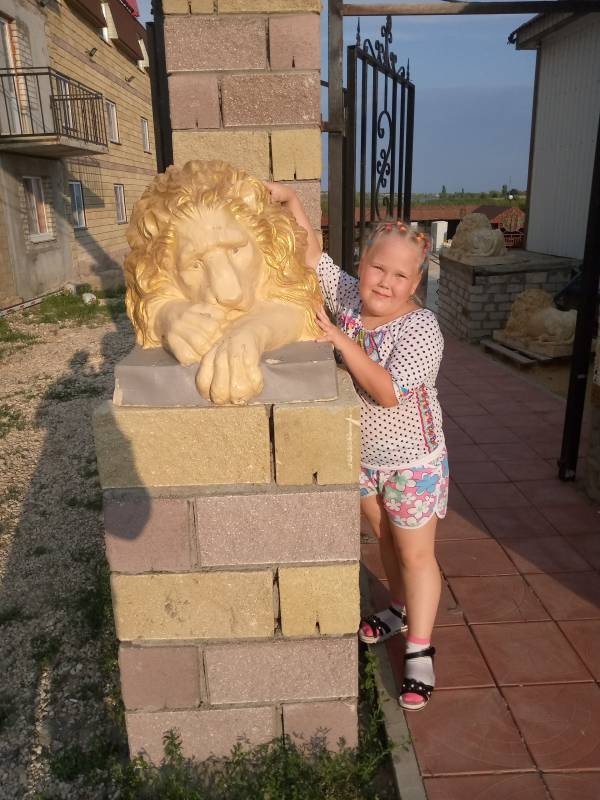 IMG_20190729_181153_4
