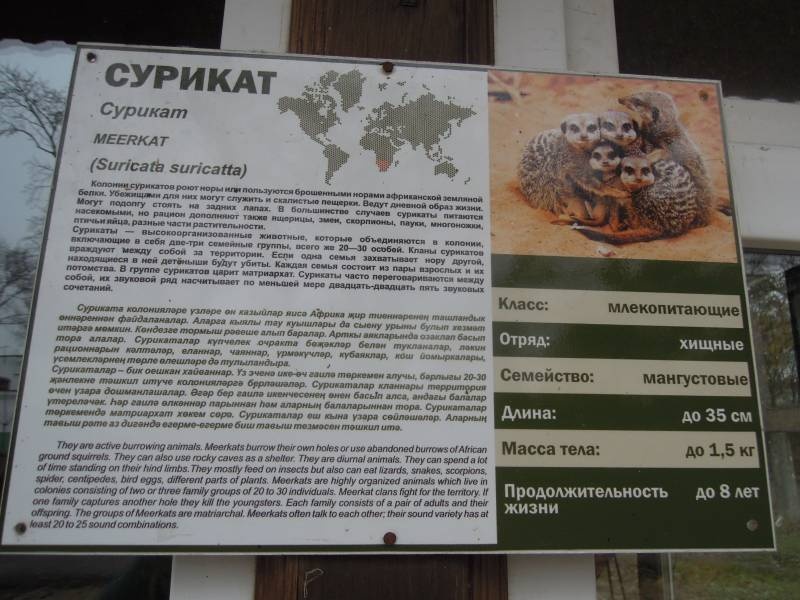 DSCN4813.JPG
