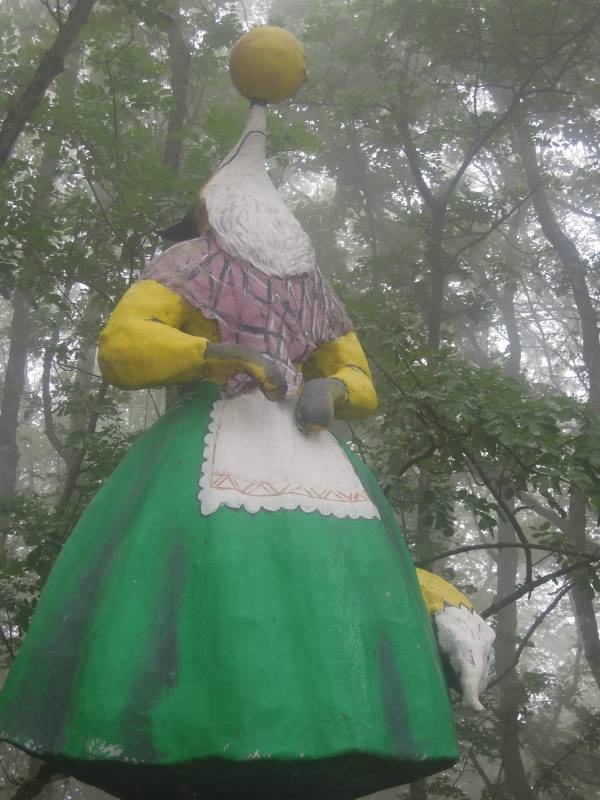 DSCN0313.JPG