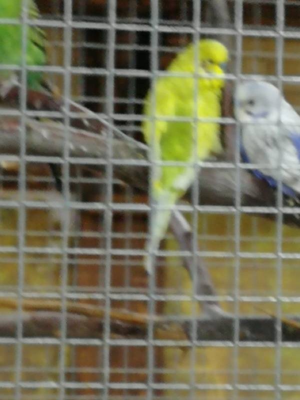 IMG-20181031-WA0008