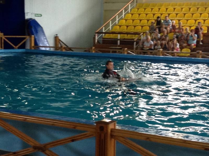 Дельфинарий в Лазаревском124170