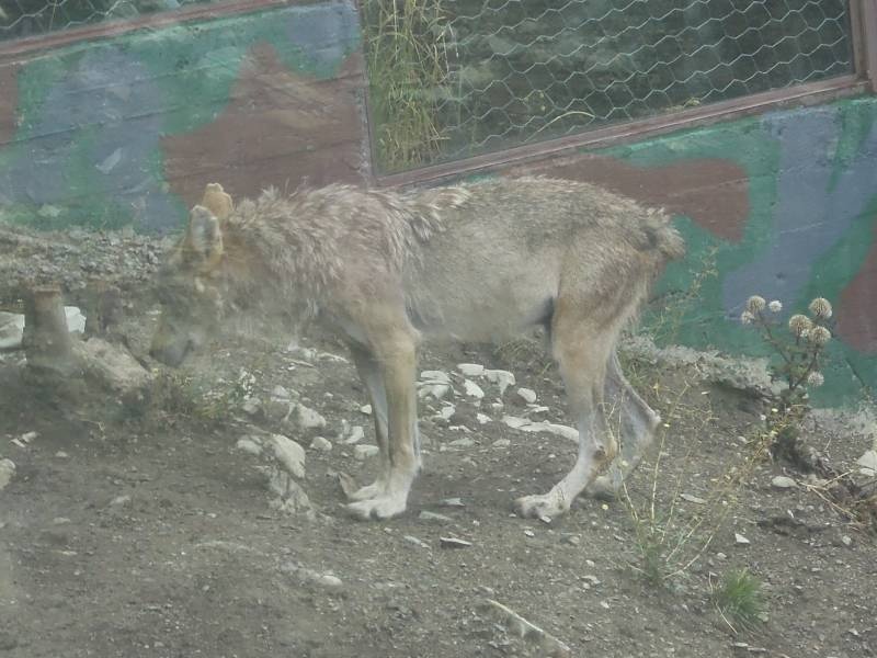 DSCN0209.JPG