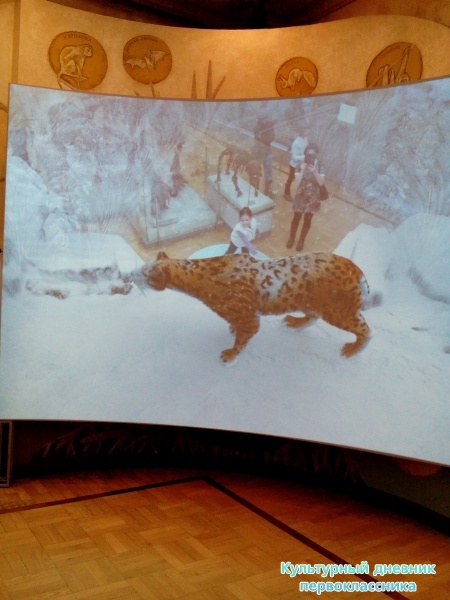 Музей естейственной истории Татарстана