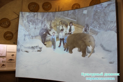 Новый экспонат «Ледниковый период»16499