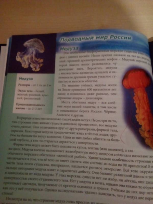 моя книжная полка104150
