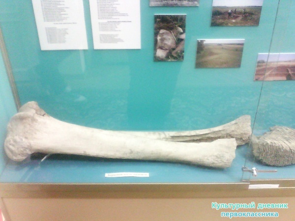 краеведческий музей27820