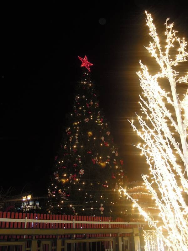 DSCN6764.JPG