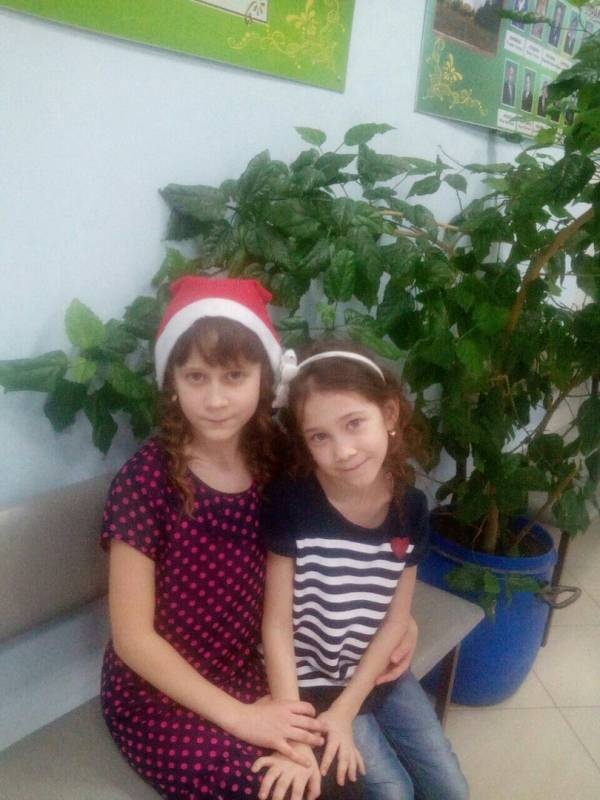 Новый год 2018133831