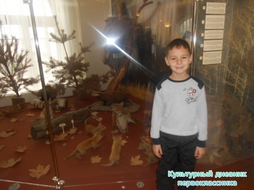 Төлкеләр арасында