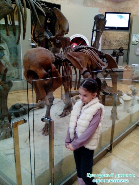 Музей естейственной истории Татарстана