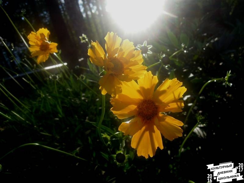 DSCN0319.JPG