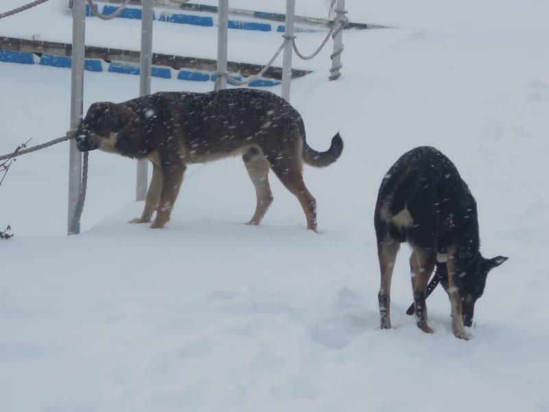 DSCN5264.JPG