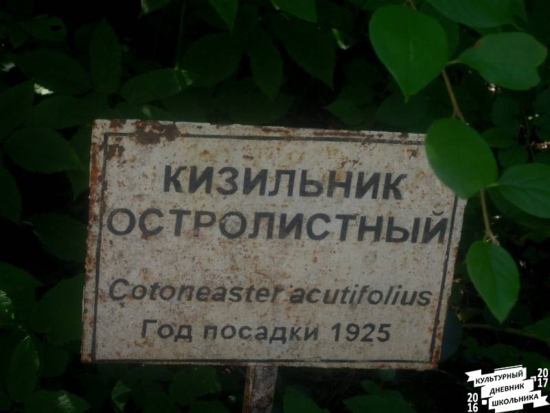 DSCN1633.JPG