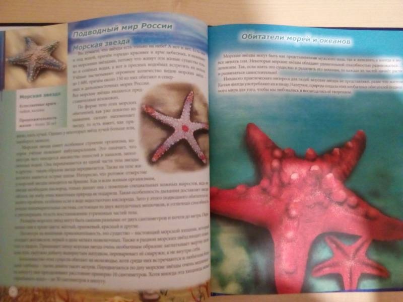 моя книжная полка104152