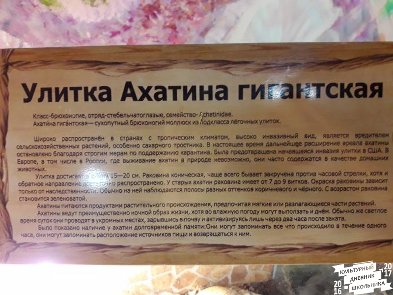 КК№46.Парк тропических бабочек.62354