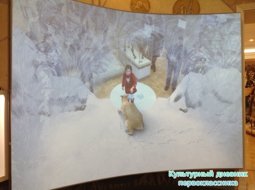 Музей естественной истории16847