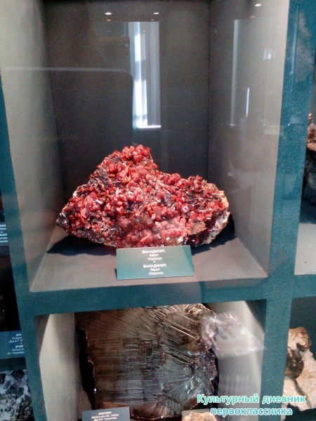 Музей естейственной истории Татарстана