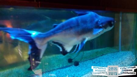 IMG_20160828_103142