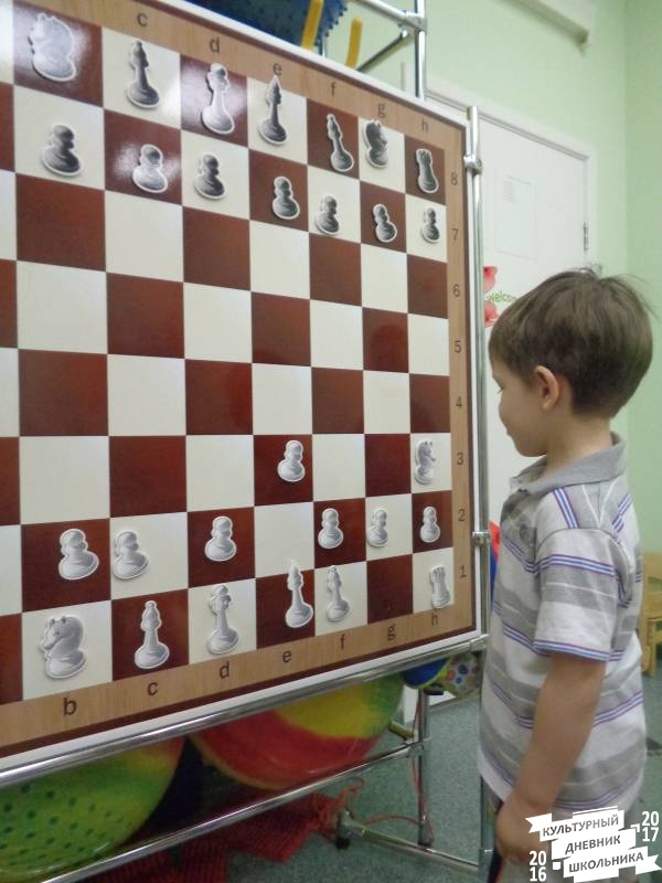 Занятие по шахматам в дошкольниками 18.JPG