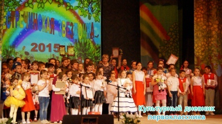 Пестречинская звездочка24139
