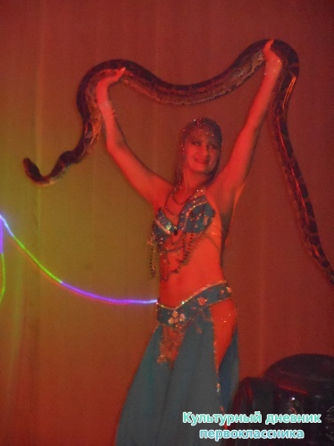 Цирк! "Сочи и Ко"9371